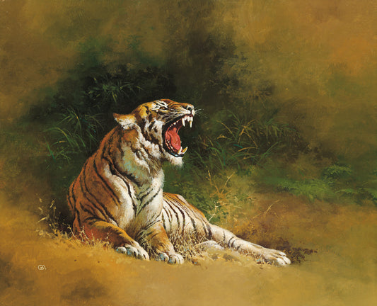 Lying Tiger