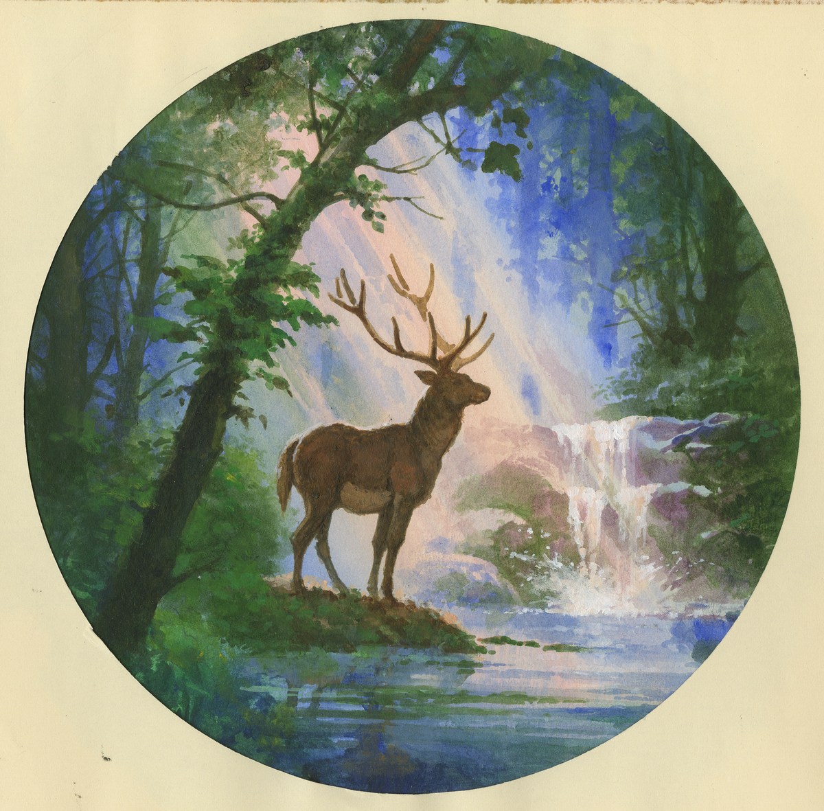 Stag